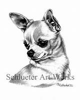 Chihuahua Sketch Pencil Template Drawings Artist Pet Dog Coloring Pages Visit Drawing sketch template