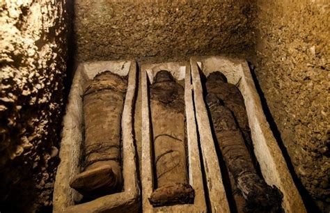 Egypt Unveils Pharaonic Tomb Home To 50 Mummies Life
