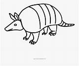 Armadillo Archaicawful Dibujar Clipartkey sketch template
