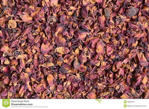 dried rose petals stock image image  scent organic