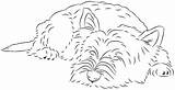 Westie Colouring Birdscards Terrier sketch template