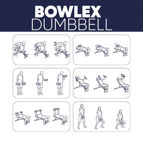 10 Best Dumbbell Exercises Chart Printable