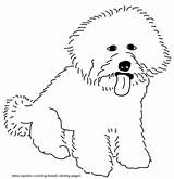 Coloring Bichon Dog Pages Frise Breed Drawing Line Yorkie Getdrawings sketch template