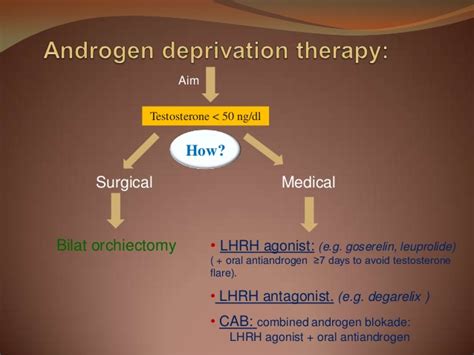 metastatic prostate cancer a guide for treatment choice