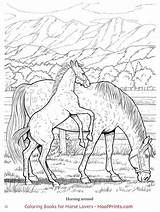 Hoofprints Colouring Pferde Zeichnen sketch template