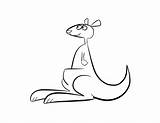 Kangaroo Australien Ausmalbilder Anbu Kostenlos sketch template