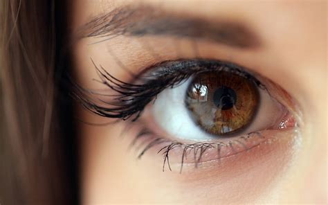 ojo marrón de la persona mujeres morena markéta stroblová ojos