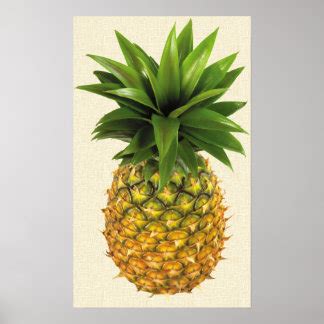 pineapple art posters framed artwork zazzlecouk