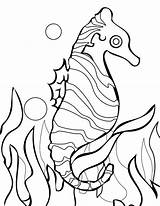 Seaweed Seahorse Kidsplaycolor sketch template