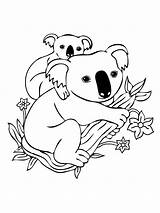 Koala Cute Drawing Coloring Pages Animal Getdrawings sketch template