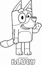 Bluey Coloringall Bingo Heeler Soccer Parties Cyberchase Colorear 2nd Coloringpagesonly Automatically Kd sketch template