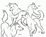 Coloring Pages Baby Wolf Print Wolves Comments Coloringhome sketch template