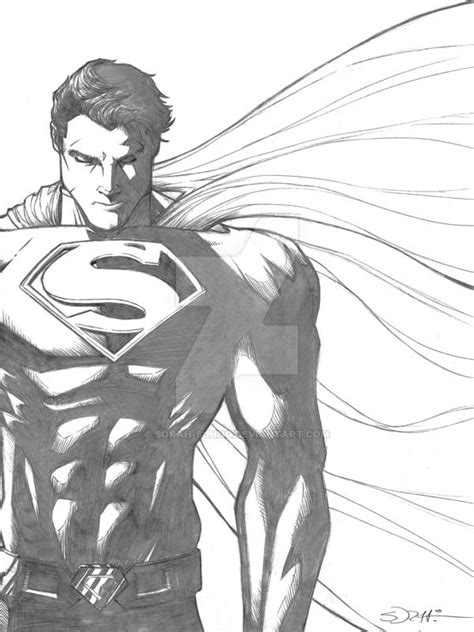 superman sketch  sorah suhng superman superman dibujo dibujos