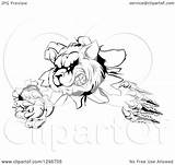 Monster Shredding Aggressive Raccoon Illustration Through Wall Royalty Clipart Atstockillustration Vector sketch template