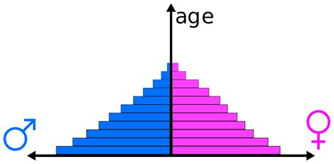 Demographic Shifts The Population Pyramid Is Over What