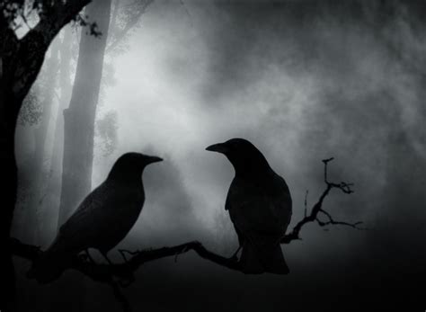 Pin By Lindsay S On Creepy Spooky And Eerie Crows Ravens Crow Raven