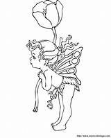 Blume Coloring Fairy Ausmalbild Fiore Fee Fata Colorare sketch template
