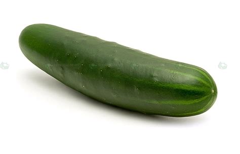 naughty cucumber