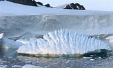 Afbeeldingsresultaten voor "coelographis Antarctica". Grootte: 164 x 100. Bron: edition.cnn.com