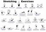 Pictures of Benefits Of Flexibility Exercises