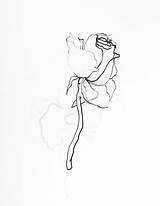 Dying Rose Drawing Getdrawings sketch template
