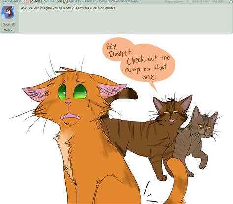 Ask 20 Firestar Booty For Days By Warriorcats Ask On