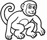 Monkey Clip Clipart Coloring Pages Wikiclipart sketch template