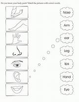Body Parts Worksheets Match Kids Printable Worksheet Activity Coloring English Words Activities Pages Kindergarten Name Learning Correct Matching Preschool Bestcoloringpages sketch template