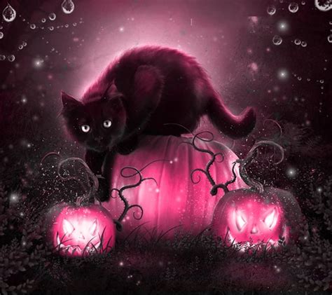 Cat Cute Drops Halloween Kitty Image 3656886 By
