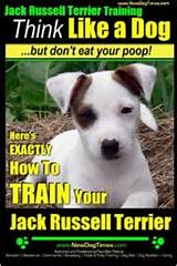 Photos of Training Jack Russell