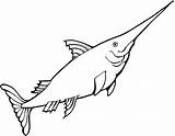 Sailfish Swordfish sketch template