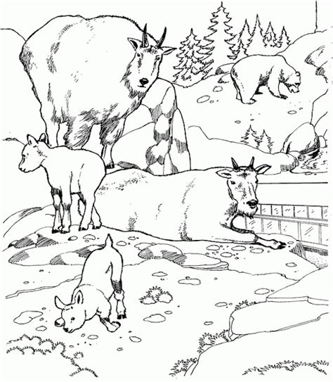 zoo coloring pages  children
