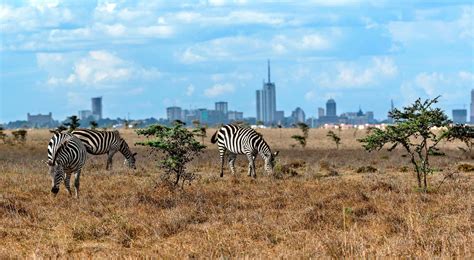 nairobi kenya  wonderful places  visit   world