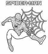 Spiderman Coloring Pages Kids Man Spider Superior Getcolorings Printable Color sketch template