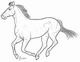 Thoroughbred Coloring Horse Comments sketch template