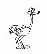 Coloring Pages Bird Birds Coloringpages1001 Animated sketch template