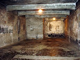Image result for Jews in Gas Chambers