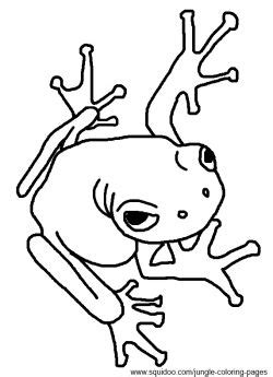 jungle coloring pages jungle coloring pages frog coloring pages