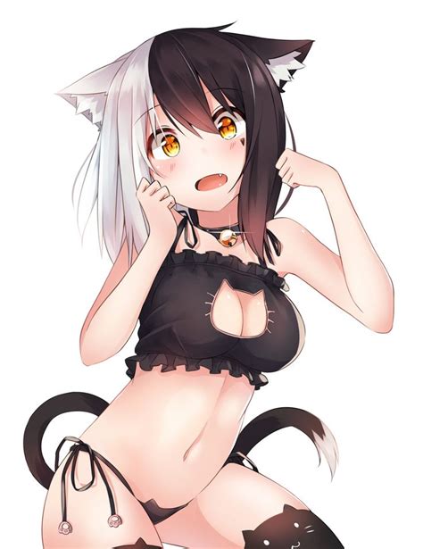 350 best images about catgirl carnival on pinterest posts catgirl and cute cats