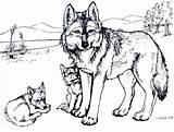 Wolf Coloring Pages Printable Kids Wolves Print Colouring Clawdeen sketch template