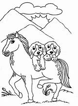 Chien Chat Cheval Caballo Cavalo Colorear Cachorrinhos Perro Colouring Carregando Pies Dibujosonline Tudodesenhos Malowanki Faithful sketch template