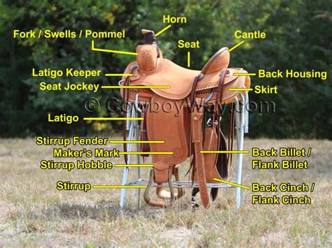 western saddle information  articles