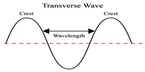 transverse wave qs study