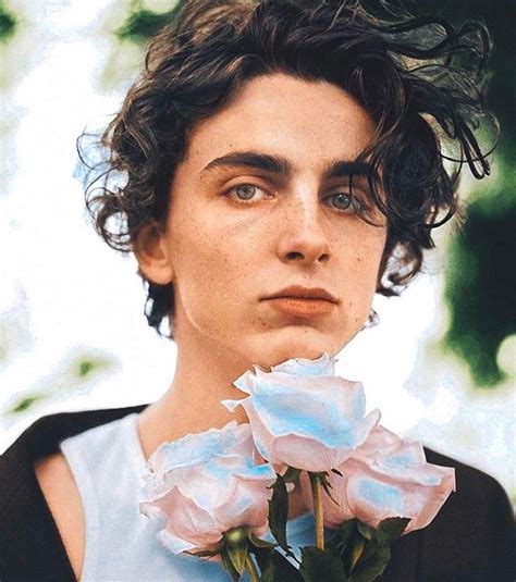Pin On Timothee Chalamet Cmbyn