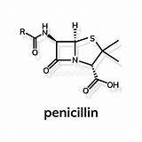 Penicillin Penicillina Chemische Formula Formule Penicilline Formel Struttura Chimica Molecolare Molecule Illustrationen Vektoren sketch template