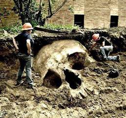 Image result for supreme court ruling smithsonian giant human remains