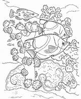 Coloring Coral Reef Pages Color Book Coloriage Ocean Aquatic Poisson Dover Doverpublications Books Reefs Drawing Printable Sample Poissons Realistic Mer sketch template