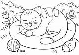Ausmalbilder Katze Schlafende Ausdrucken Haustiere Malvorlagen sketch template