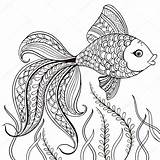 Fish Decorative Pez Peces Pesce Disegnato Isolato Coloritura Sforzo Animales Fon sketch template