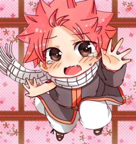 Chibi Natsu Fairy Tail Amino